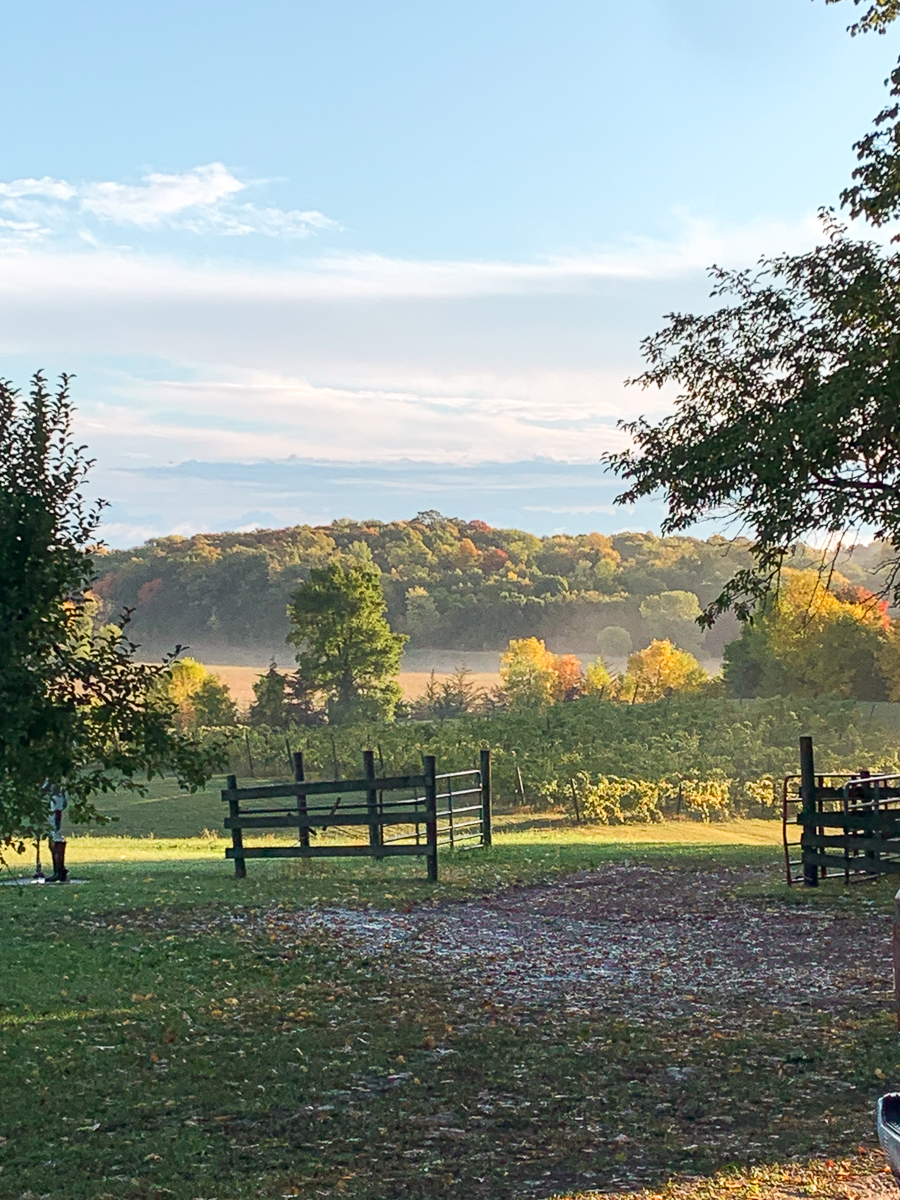 14 Day Trips from Minneapolis to Escape the City